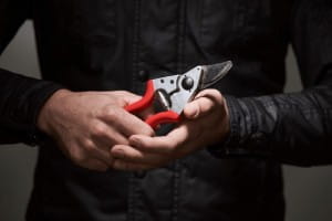 00FELCO62.jpg